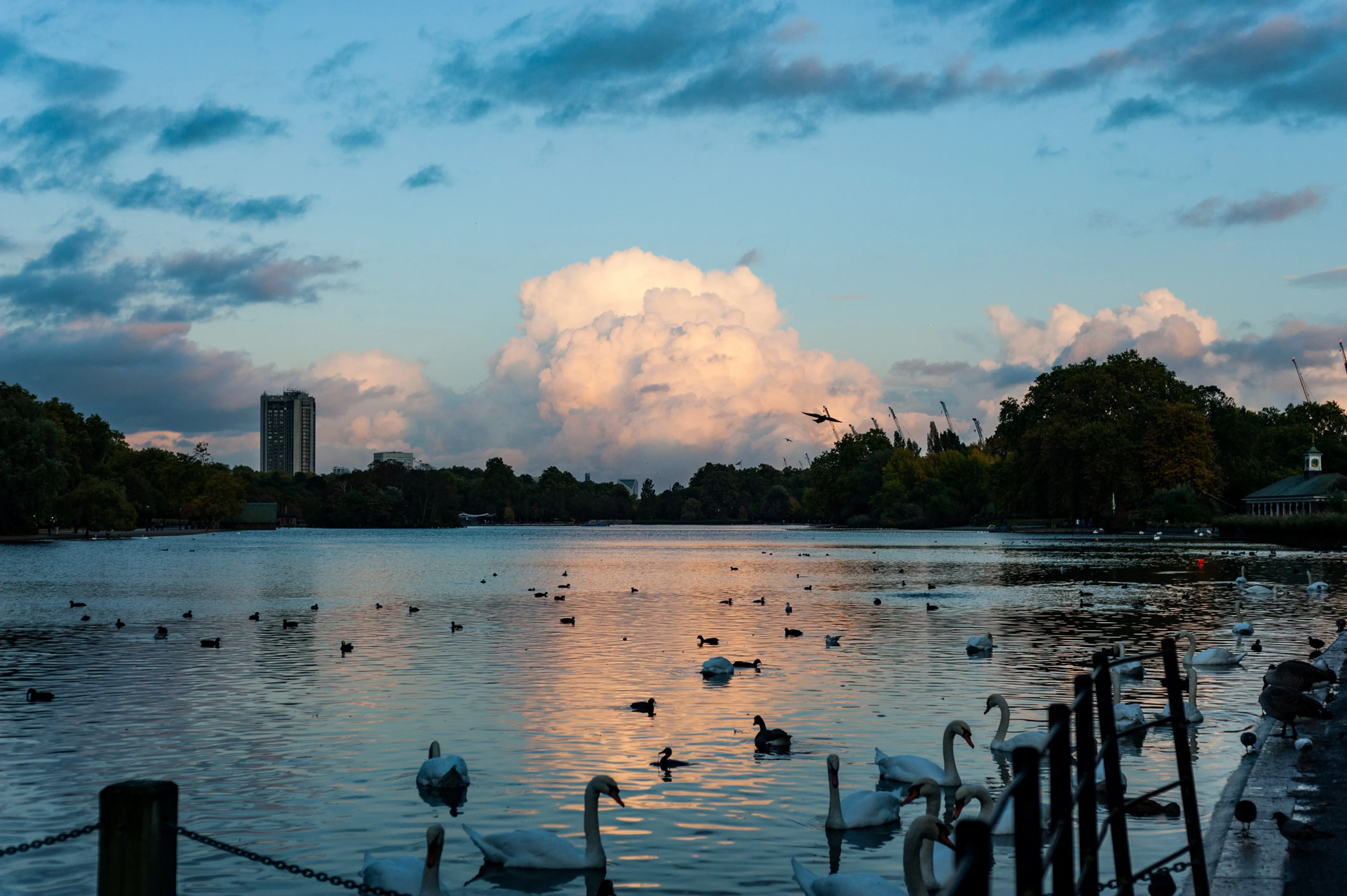 Image of Hyde Park